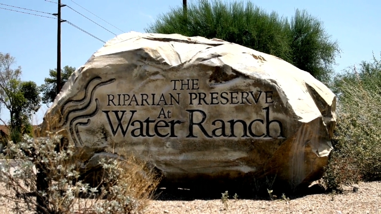 Enjoy Scenic Treasure The Riparian Preserve at Water Ranch