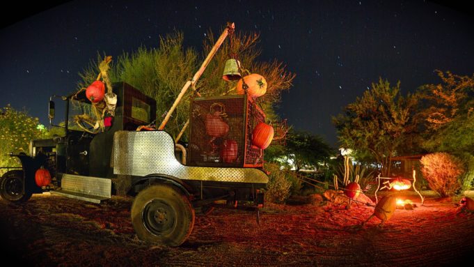 Carefree Pumpkin Garden