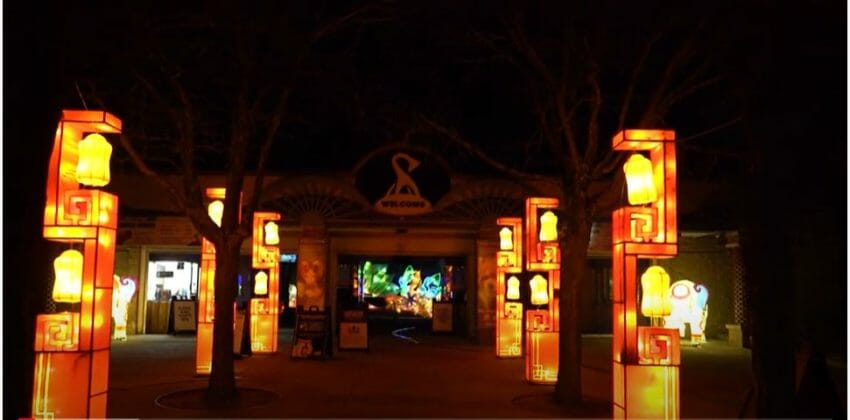roger williams zoo chinese lanterns
