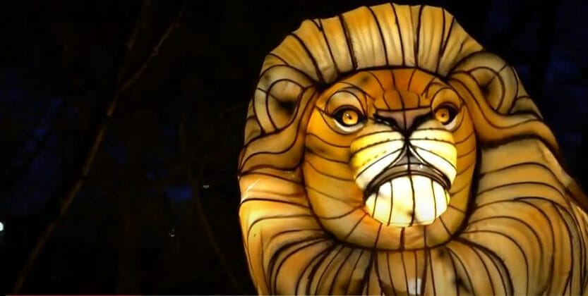 roger williams zoo lantern spectacular