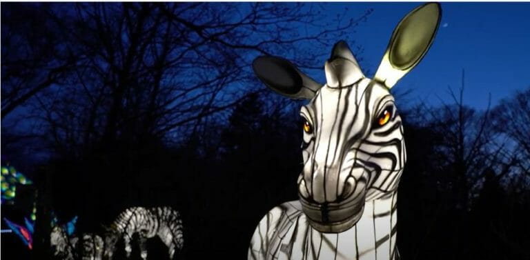 roger williams zoo lantern spectacular