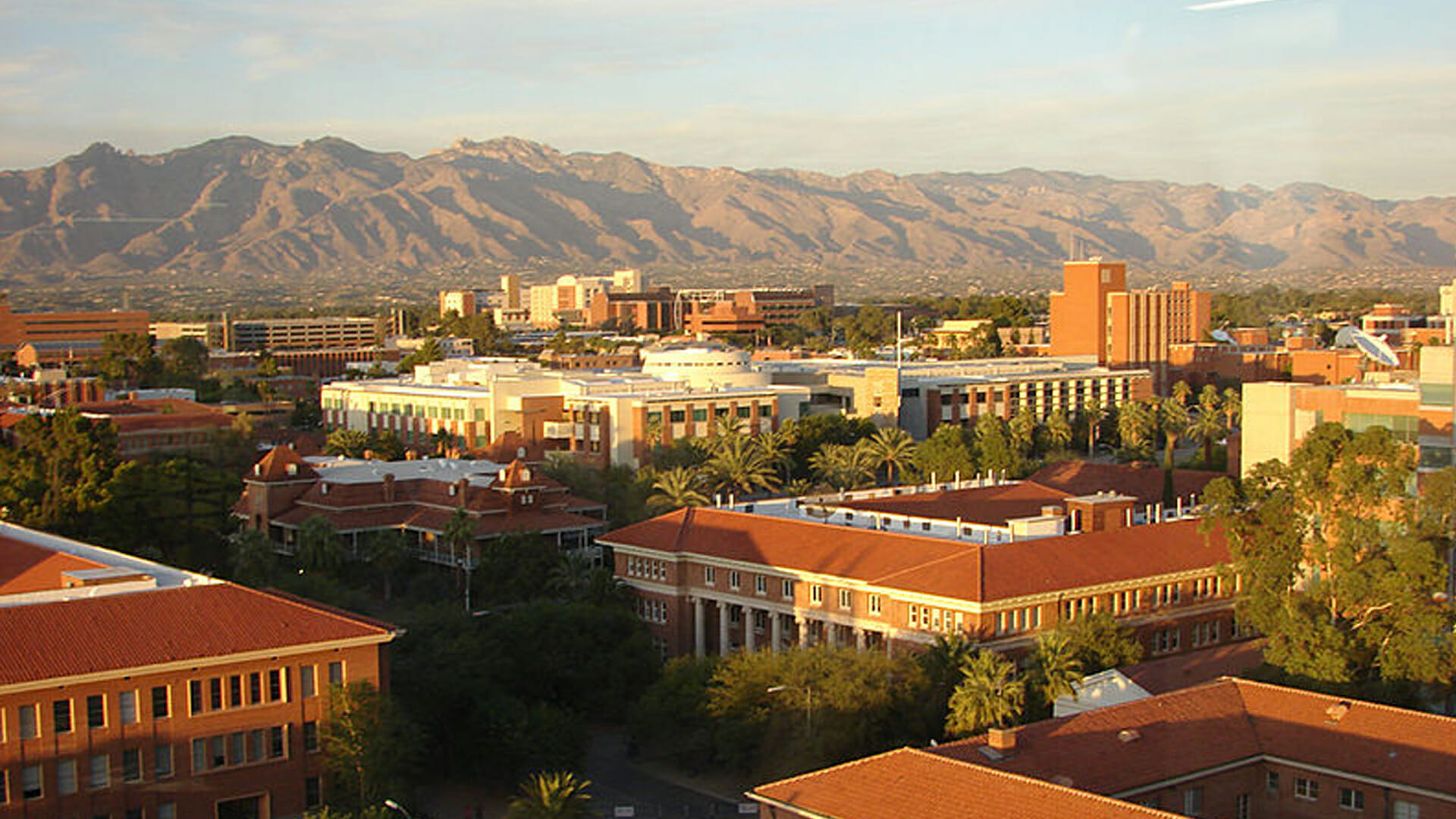 The African American Museum Of Southern Arizona