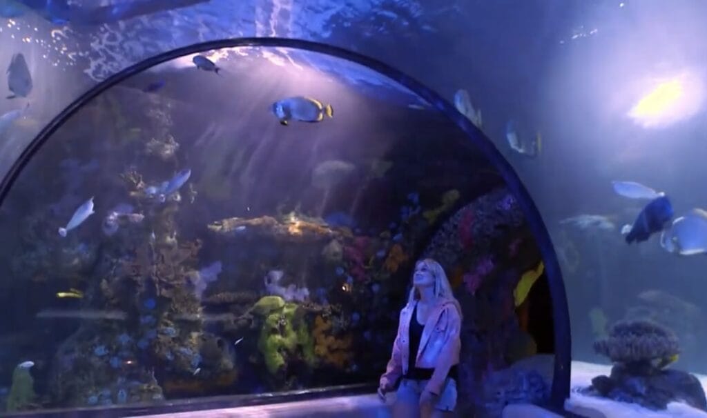 aquarium